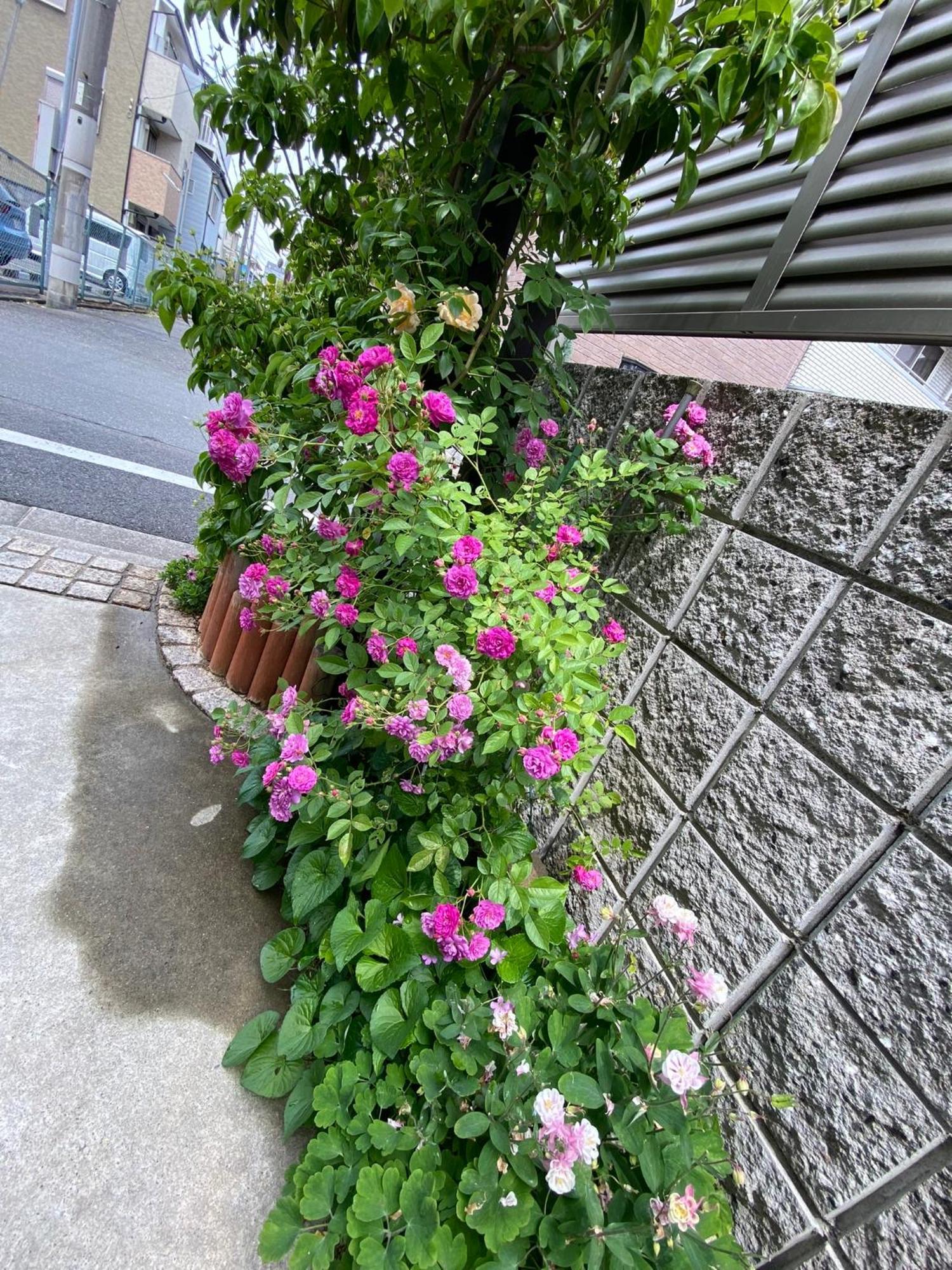京都 遥華-Haruka House酒店 外观 照片